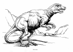 Dinosaurier:
Tarbosaurier / Tarbosaurus Dinosaurier:
Tarbosaurier / Tarbosaurus