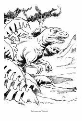 Dinosaurier: Tarbosaurier
/ Tarbosaurus am Waldrand Dinosaurier: Tarbosaurier / Tarbosaurus
am Waldrand