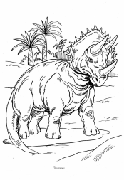Dinosaurier: Triceratops mit 3 Hörnern Dinosaurier: Triceratops mit 3 Hörnern