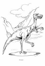 Dinosaurier:
Velociraptor, ein Riesenstrauss Dinosaurier: Velociraptor, ein
Riesenstrauss