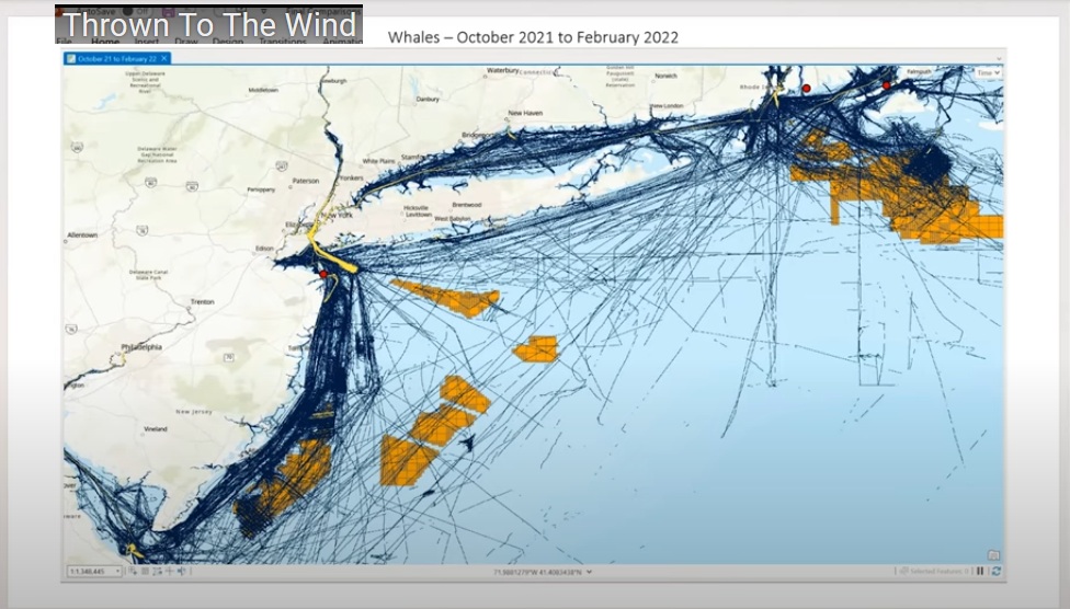 Region New York: Windparks
provozieren tote Walfische von Oktober
2021 bis Februar 2022 - jeder rote Punkt
ist ein toter Walfisch Region New
York: Windparks provozieren tote Walfische
von Oktober 2021 bis Februar 2022 - jeder
rote Punkt ist ein toter Walfisch