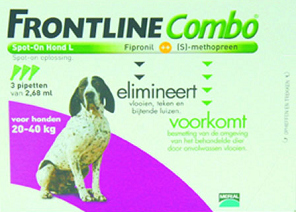 Frontline gegen Fl�he,
                      ist nur f�r Reiche erwerblich