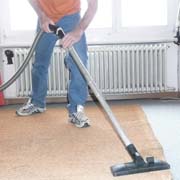 Bei Flohbefall in der
                      Wohnung ist viel Staubsaugen angesagt, oder
                      Wischen mit Anti-Floh-Mitteln im Schwamm oder im
                      Lappen