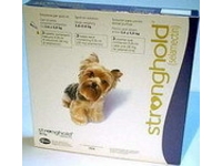 Stronghold gegen
                      Ungeziefer bei Hunden