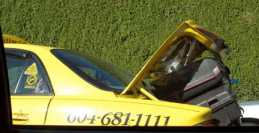 Taxi mit Gep�ck.
                      Niemand weiss, wie viele Fl�he da mitfahren