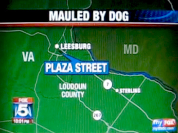 El caso de Carter
Patrick Ridge Delaney (01), el mapa con su lugar
Leesburg en Virginia (VA) cerca de Maryland
(MD) El
caso de Carter Patrick Ridge Delaney (01), el
mapa con su lugar Leesburg en Virginia (VA)
cerca de Maryland (MD)