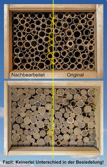 R�hrchen-Bienenhotel