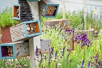 R�hrchen-Bienenhotel
                            im Stil von Hundertwasser in mehreren
                            Holzkistchen an einem Zaunpfahl