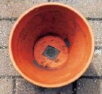 Hummelnest
                                bauen 02: Die L�cher im Blumentopf erden
                                mit schwarzem Baumwollstoff zugeklebt