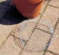 Hummelnest
                                bauen 03: Mit H�hnerdraht wird eine
                                Krippe geformt, die in den Topf passt