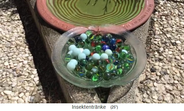Insektentr�nke mit Glasschale mit Wasser
                und Murmeln 2