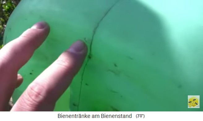 Bienentr�nke mit Kanister: Im Kanister ist ein
                    Loch, damit Luft nachfliessen kann