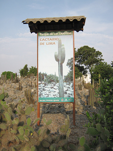 Die Tafel am
Kakteengarten im Zoo von Lima-San Miguel
"Parque de las Leyendas. Cactario de
Lima" Die Tafel am Kakteengarten im Zoo von
Lima-San Miguel "Parque de las Leyendas.
Cactario de Lima"
