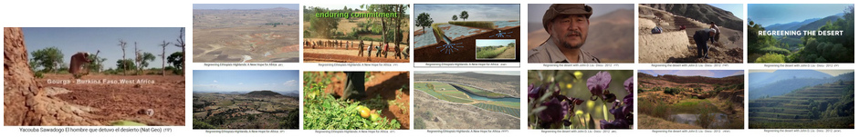 Wald pflanzen:
                            W�ste in Wald verwandeln - zum Index