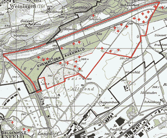 Frauenfeld : ehemaliger
Auenwald Frauenfeld : ehemaliger
Auenwald