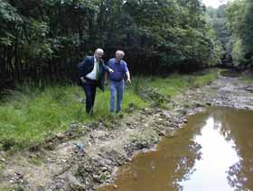 Amphibienbiotop
im wald im Rohbau Amphibienbiotop im wald im
Rohbau