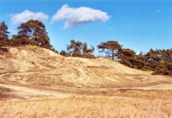 Nationalpark
              mit Binnend�nen in Altwarp, Deutschland;
              http://www.altwarp.de/