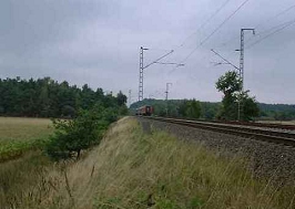 Am
            ungespritzten Bahndamm, warm-trockenes Klima