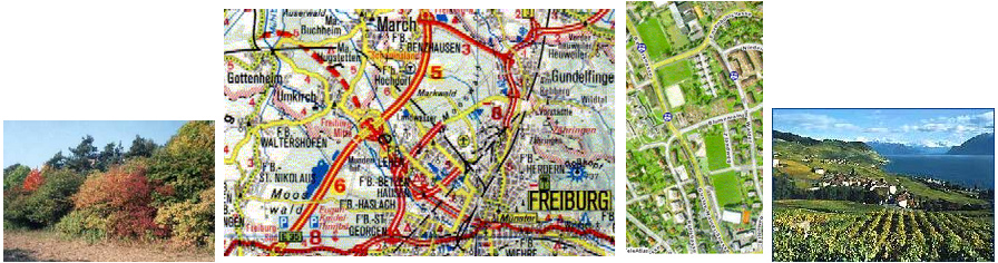 Die Ausrottung von
                            Schmetterlingen mit Autobahnen,
                            Fussballpl�tzen und Reben-Monokulturen