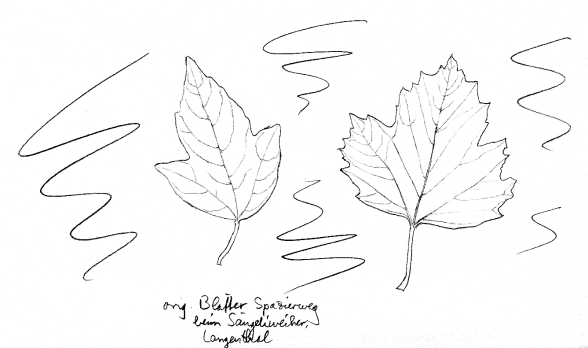 Ahornstrauch Feuerahorn, Bl�tter