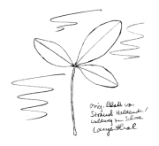 Roter Geissklee,
                        Blatt