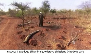 Yacouba Sadabogo legt reihenweise Erdl�cher
                    an