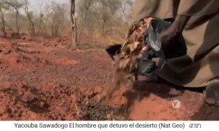 Yacouba Sadabogo f�llt die Erdl�cher mit Dung
                      und Bl�tterkompost auf - Nahaufnahme