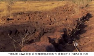 Steinreihen gegen schnellen Wasserabfluss 03