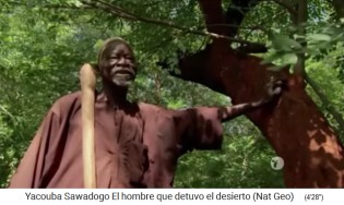 Yacouba zeigt seinen
                    ersten Baum, den er vor 38 Jahren gepflanzt hat