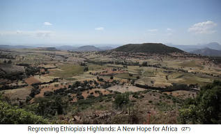 8 Jahre sp�ter wurde das
                          Hochland von �thiopien zu einer gr�nen
                          Landschaft mit Wald und Feldern