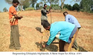 Die Umwandlung in eine nachhaltige
                      Landwirtschaft: Die Vermessung von Baumpositionen