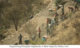 Die Umwandlung in eine nachhaltige
                      Landwirtschaft: Es werden Bauml�cher gehackt 01