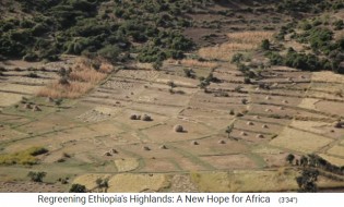 Grasland regeneriert wieder 02