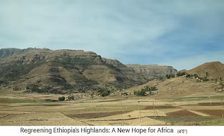 Im W�stenhochland von
                      Tigray in �thiopien waren nur kahle Berge