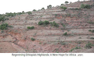 Provinz Tigray, da waren
                    alte Terrassen f�r die Landwirtschaft