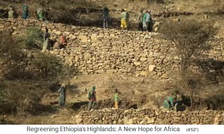 Provinz Tigray: Die Terrassen
                    werden neu hergestellt 01