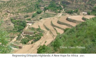 China: Terrassenbau auf dem Loess-Plateau