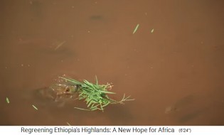 Die Provinz Oromia in
                    �thiopien, Bauer Mezgebu Tadesse mit Fischteich hat
                    mit Fischverkauf mehr Einnahmen