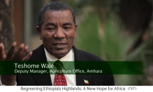Teshome Wale, der stellvertretende
                    Gesch�ftsf�hrer vom Landwirtschaftsb�ro in Amhara