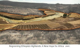 Hochland von �thiopien, Beispiel einer
                    Landschaft Sektor 1: Niedriges Land wird bew�ssert,
                    wenn in der Regenzeit der Fluss fliesst