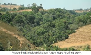 Hohe Bergh�nge im
                    Hochland von �thiopien mit Bewaldung gegen Erosion