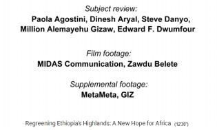 Die
                              Filmproduzenten 03