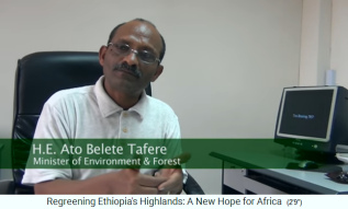 Ato Belete Tafere, Entwicklungs-
                                  und Waldminister