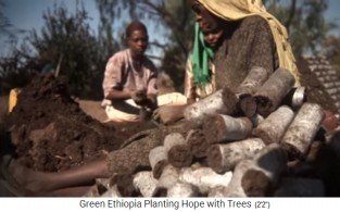 Baumschule 02:
                            Komposterde wird zu Rollen geformt