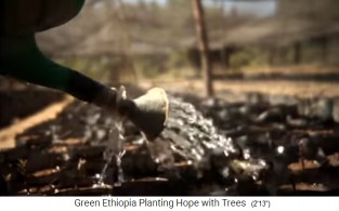 Baumschule 03: Setzlinge
                        werden mit Wasser begossen