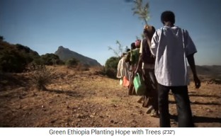 �thiopien
                      Stiftung Green Ethiopia: Eine Gruppe geht los, die
                      grossen Baumsetzlinge pflanzen, um den Wald zu
                      erweitern