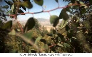 Der Wald von Boreta Gerado Dengego
                            03