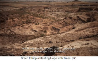 Im Jahre 2005 war das
                              Gebiet von Boreta Gerado Dengego noch kahl
                              und erodiert