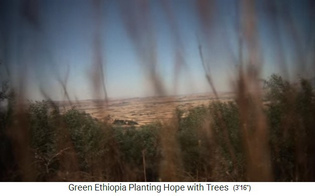 Das
                                        Kulturland von Boreta Gerado
                                        Dengego