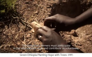 Baum pflanzen 01: Die
                              Schale um die Erde entfernen